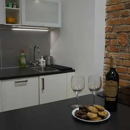 Centrum Witkiewicza Ii Apartmán *